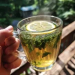Lemon balm recipe for weight loss served in a clear glass cup with lemon slice