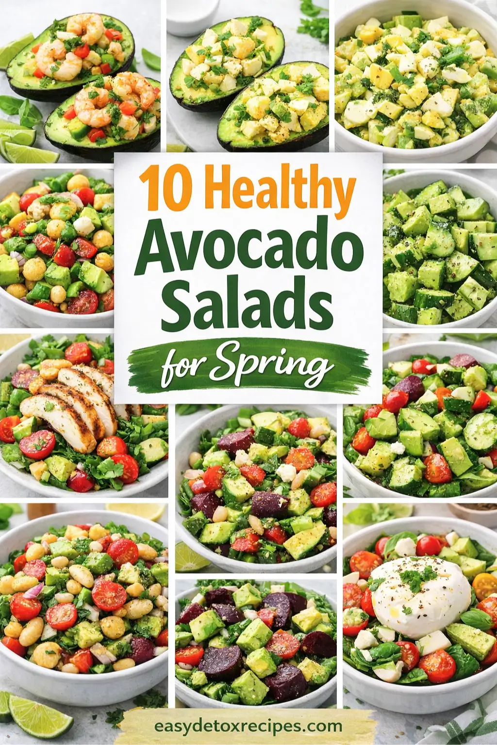 Healthy Avocado Salad Recipes for Spring